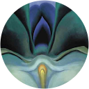 Chennault Fox profile picture